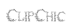 ClipChic - logo